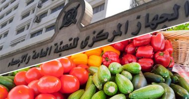 جهاز الإحصاء يعلن استقرار المستوى العام لأسعار سبتمبر الماضى.. تراجع أسعار الفاكهة 7.6%.. واللحوم والدواجن بنسبة 1.5%.. والأسماك والمأكولات البحرية بـ0.4%.. ومجموعة الألبان والجبن والبيض بـ0.1%