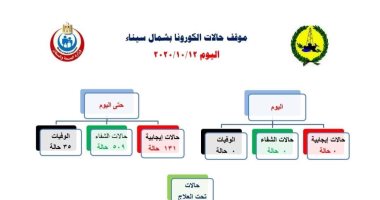 شمال سيناء تسجل صفر إصابات ووفيات بفيروس كورونا