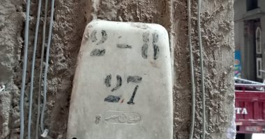 استجابة لسيبها علينا.. المصرية للاتصالات ترفع كفاءة كابينة تليفون بالمحلة 