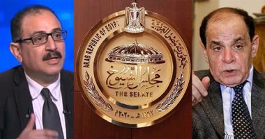 انطلاق أعمال مجلس الشيوخ الأحد المقبل.. فقيه دستورى يرجح تشكيل لجان نوعية مؤقتة لحين حسم اللائحة الداخلية.. ومطالبات بلجان أقل لاختلاف طبيعة الاختصاصات عن البرلمان.. وطارق عبد العزيز يقترح تشكيل 17 لجنة نوعية