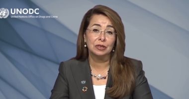 غادة والى: نحتاج إلى تشريعات ونهج شامل لمكافحة الجرائم ضد البيئة