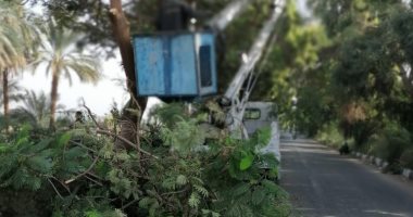 رفع 38 طن مخلفات فى حملات نظافة بقرى مدينة البياضية بالأقصر.. صور