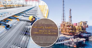 المصدرون ينتظرون وعود وزيرة الصناعة بتخفيض سعر الغاز للمنشآت الصناعية خلال اجتماع لجنة الطاقة أكتوبر الجارى.. المصنعون يطالبون بتخفيضه لـ2.5 دولار بعد انخفاضه عالميا إلى 1.70 لتعويض خسائرهم وزيادة التصدير
