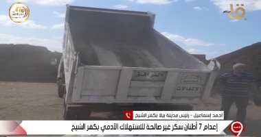 إعدام 7 طن سكر غير صالح للاستخدام الآدمي بكفر الشيخ 