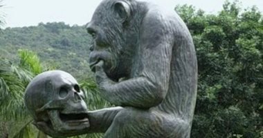 100 منحوتة عالمية .. "قرد داروين" شمبانزى يجلس على كتب المفكر 
