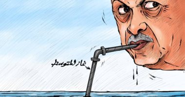أردوغان يحاول الاستيلاء على ثروات البحر المتوسط فى كاريكاتير اماراتى