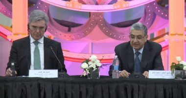 وزير الكهرباء: نستهدف رفع نسبة الطاقة المتجددة بحلول 2035 لـ60% بدلا من 42%