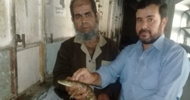 البيئة تتسلم تمساح عثر عليه أحد الصيادين فى ترعة المحلة.. صور