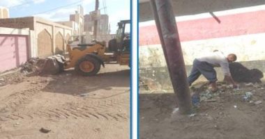 حملات نظافة بمحيط المدارس فى الشرقية استعدادا للعام الدراسى الجديد