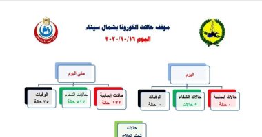صحة شمال سيناء تسجل صفر إصابات ووفيات بفيروس كورونا