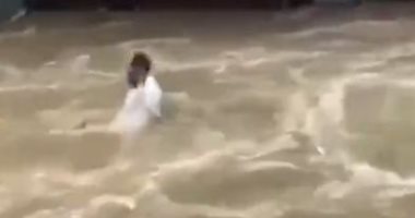 فرق الانقاذ تحاول إنقاذ مواطن جرفته الفيضانات في شوارع الهند.. فيديو