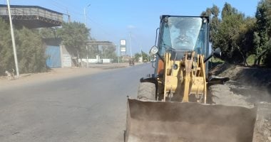 رفع 160 طن قمامة من شوارع مدينة سمنود وقراها بالغربية.. صور