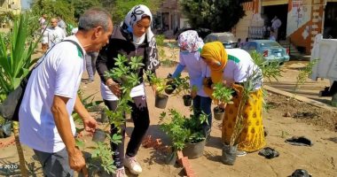 صور.. زراعة 572 شجرة زينة ومثمرة بمبادرة "مصر الجميلة" بالغربية