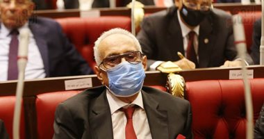 بهاء أبو شقة: اعتراض رئيس مجلس الشيوخ على سفر النائب يشوبه عدم الدستورية