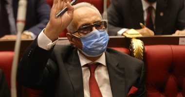النائب بهاء أبو شقة يعلن تنازله عن مستحقاته بمجلس الشيوخ لـ"تحيا مصر"