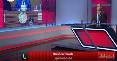 وكيل مجلس الشيوخ: ما حدث اليوم هو عرس ديمقراطى حقيقى ومشروع وطنى عظيم