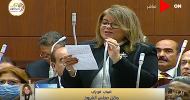 فيبى فوزى: الدعم الذى أظهره نواب مجلس الشيوخ اليوم كان مفاجأة