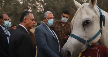 وزير الزراعة يتفقد أعمال تطوير ورفع كفاءة محطة الزهراء للخيول العربية.. صور
