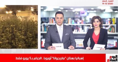 إسبانيا بستان "ماريجوانا" والجرام بـ5 يورو.. اعرف القصة من تليفزيون اليوم السابع