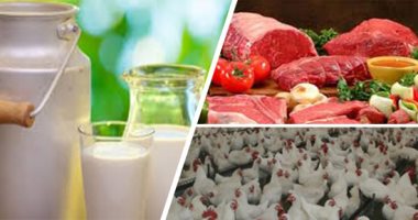 قطار التنمية الزراعية يواصل مسيرته.. تحقيق الاكتفاء الذاتى من الدواجن والألبان.. تخصيص4.1 مليار جنيه للبتلو.. وثبات أسعار اللحوم الحمراء وزيادة إنتاج الأسماك..فتح 39 سوقا جديدة للخضر.. وزيادة الرقعة الزراعية
