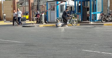 صور.. أمطار خفيفة بالإسكندرية ورفع حالة الطوارئ لمواجهة التقلبات الجوية