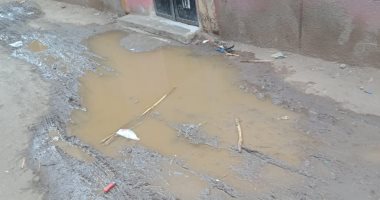 مياه الغربية تفحص شكاوى أهالى قرية كفر المنشى بطنطا بسبب طفح الصرف الصحى