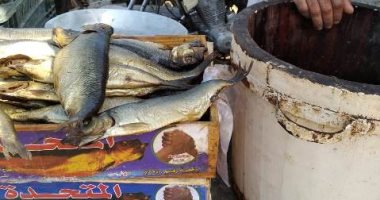 صحة الشرقية: إعدام 964 كجم أغذية فاسدة وغلق 21 منشأه غذائية تعمل بدون ترخيص