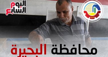 216 مرشحا يتنافسون على 18 مقعد بانتخابات مجلس النواب بمحافظة البحيرة.. إنفوجراف