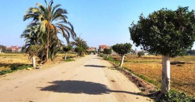  إزالة تعديات على أراضى زراعية بالحسينية وتكثيف حملات النظافة بشوارع الشرقية