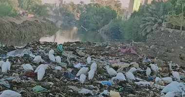 التعليم ورئيس المدينة يردان على شكوى قرية العمودين بالمنيا من عدم وجود خدمات