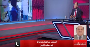 رئيس مجلس الشيوخ يدعو المصريين لاختيار ممثيلهم فى" النواب " بعناية 