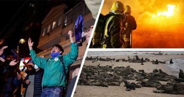 العالم هذا الصباح.. احتفالات فى بوليفيا بعد إعلان فوز لويس آرسى بانتخابات الرئاسة.. الدفاع المدنى السعودى ينجح فى إخماد حرائق الغابات فى منطقة عسير.. الجوع يقتل 7 الآف "كلب بحر" على سواحل ناميبيا