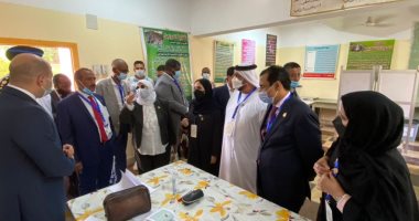 وفد البرلمان العربى يشيد بتنظيم العملية الانتخابية لمجلس النواب 