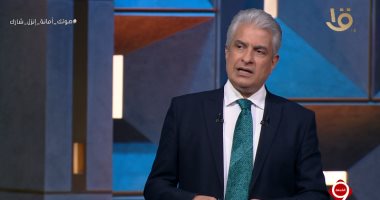 وائل الإبراشى:السيدات وكبار السن فى صدارة المشهد الانتخابى 