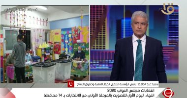 سعيد عبد الحافظ لـ"الإبراشى": لم يعد هناك تزوير لإرادة الناخبين في الاستحقاقات الدستورية