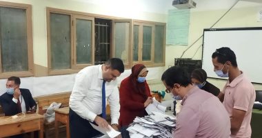 عملية فرز الأصوات بعد انتهاء التصويت فى انتخابات مجلس النواب.. فيديو