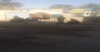 توافد السيدات وكبار السن للتصويت بانتخابات مجلس النواب بأسوان.. صور