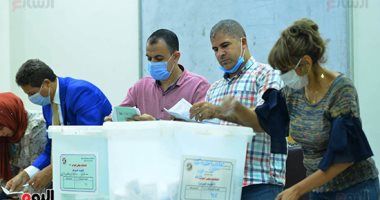 التحالف المصرى الأوروبى: المجتمع الدولى أشاد بالعملية الانتخابية