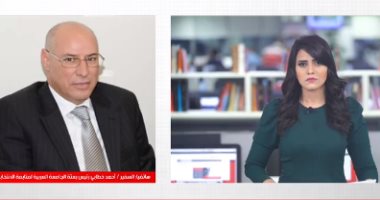 بعثة الجامعة العربية لتليفزيون اليوم السابع: مشاركة لافتة للشباب والمرأة فى الانتخابات