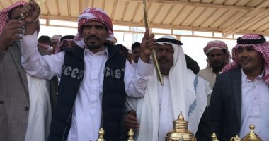 تكريم الفائزين بمهرجان نويبع للهجن بجنوب سيناء.. صور 