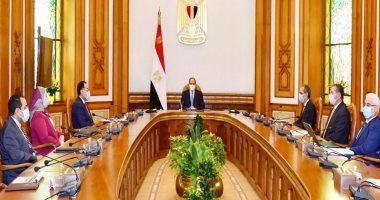 السيسى يوجه بالتطوير والتحديث الإلكترونى الشامل للهيئة القومية للتأمين الاجتماعى