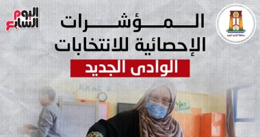 المؤشرات الإحصائية لانتخابات مجلس النواب بدوائر الوادى الجديد.. إنفوجراف