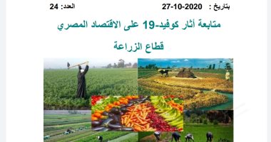 "المصرى للدراسات الاقتصادية" يحذر من خسائر الموجة الثانية من كورونا