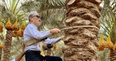 حكاية صورة.. السفير اليابانى بالقاهرة يتسلق نخلة بمزرعة فاكهة بالبحيرة