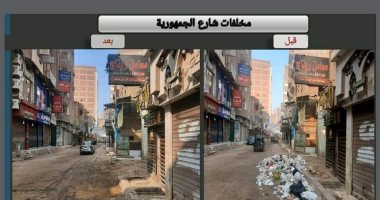 رفع 124 طن من مخلفات القمامة بـ9 مناطق بمدينة الحوامدية.. صور