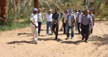 منظمة الفاو تنفذ مشروعات علاج التصحر والجفاف في الوادى الجديد .. صور