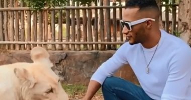 مغامرات محمد رمضان مستمرة فى دبى.. يحمل ثعبانا وبيأكل نمر ودب.. فيديو وصور