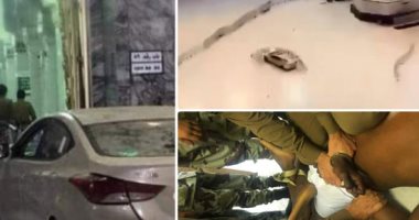 للبيت رب يحميه.. باب 89 فى الحرم المكي يمنع كارثة بعد اقتحام سيارة للساحة الخارجية.. السلطات السعودية تبدأ التحقيق.. ومسئولو إمارة مكة: قائدها فى حالة غير طبيعية وجار إحالته للنيابة ولا يوجد إصابات.. فيديو وصور