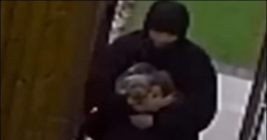 سطو مسلح لسرقة كلب بول دوج بعد ارتفاع سعر السلالة فى أمريكا.. فيديو