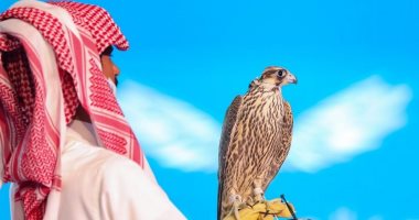 386 ألف ريال مبيعات مزاد نادى الصقور السعودى خلال يوم